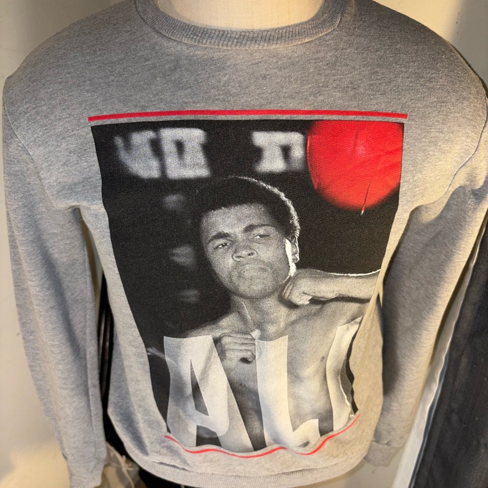 ALI Graphic SMALL 2016 Gray Sweater(118)